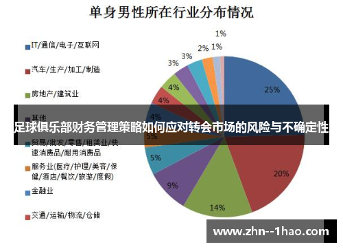 足球俱乐部财务管理策略如何应对转会市场的风险与不确定性